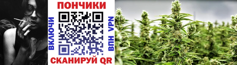 Где можно купить наркотики Касли KRAKEN онион Мефедрон Псилоцибиновые грибы ГАШИШ Марихуана КОКАИН АМФЕТАМИН