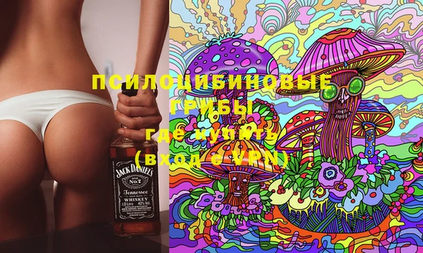 ECSTASY Нязепетровск