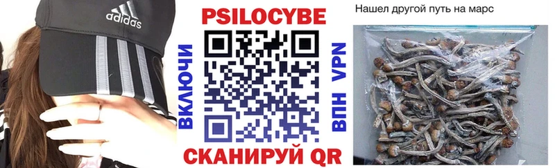 кракен вход  сколько стоит  Касли  Галлюциногенные грибы Psilocybe 
